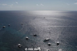 Photo taken from a high point overlooking the sea at Mact... by Rita Hung 